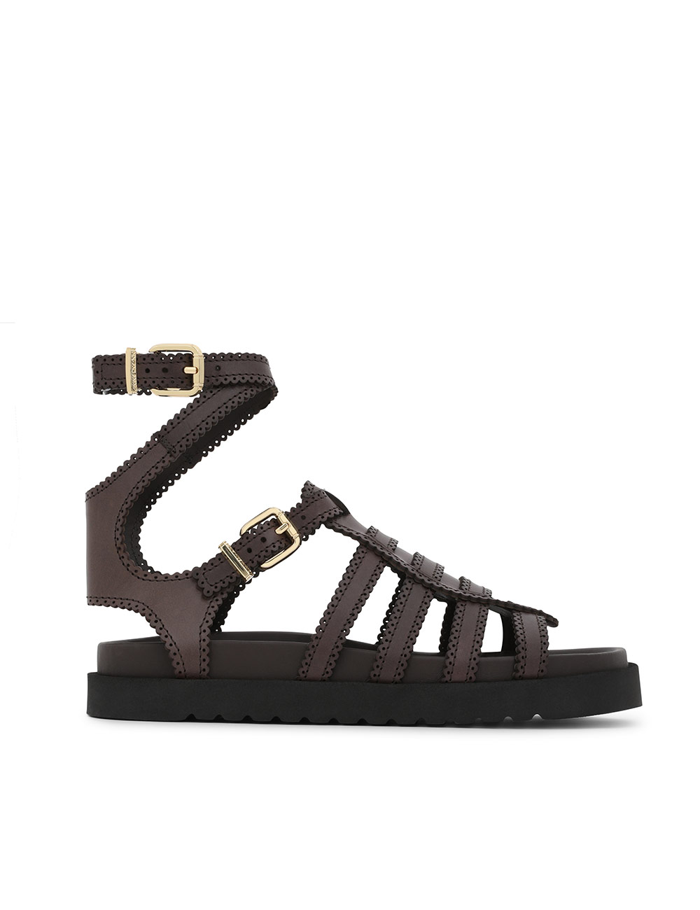 Goldie Gladiator