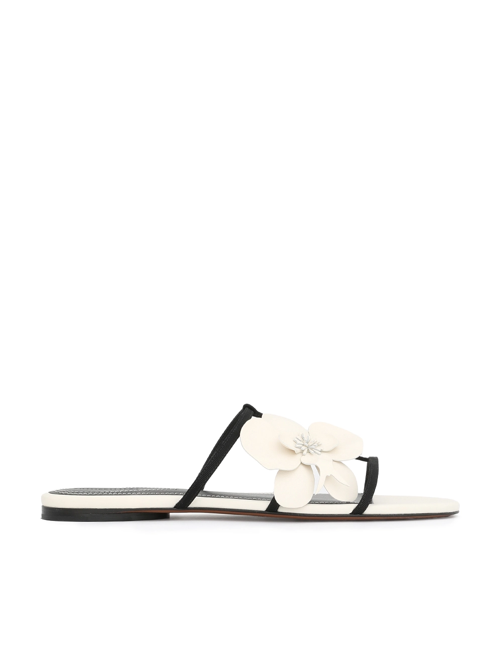 Orchid Slide